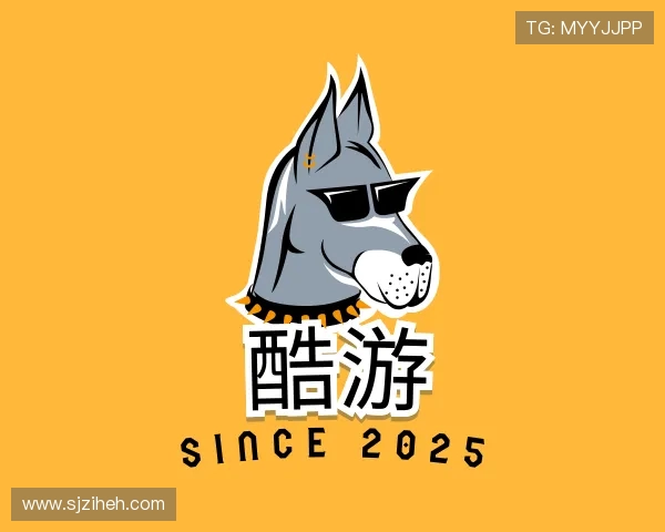 介绍九州酷游